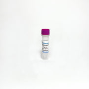 Recombinant human Tryptase alpha/beta-1 protein, Enzyme Activity TBP0099 - Protein & Peptide - TriBioScience