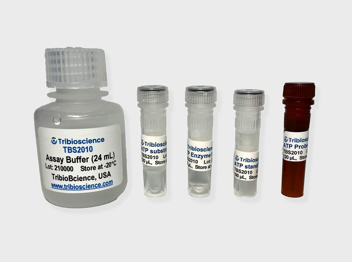 ATP Colorimetric/Fluorometric Assay Kit TBS2010 - Life Science - TriBioScience