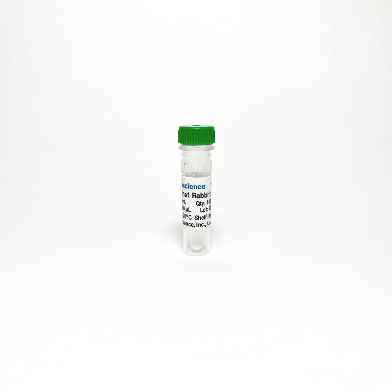 Anti-Iba1 Antibody Monoclonal Antibody TBS10075-0.1MG - Antibodies - TriBioScience