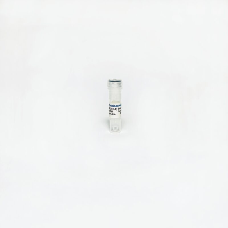 RBMS2 (B-4) Mouse Monoclonal Antibody TBS10084-100UG - Antibodies - TriBioScience