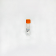RBM20 Rabbit Polyclonal Antibody TBS10085-20UG - Antibodies - TriBioScience