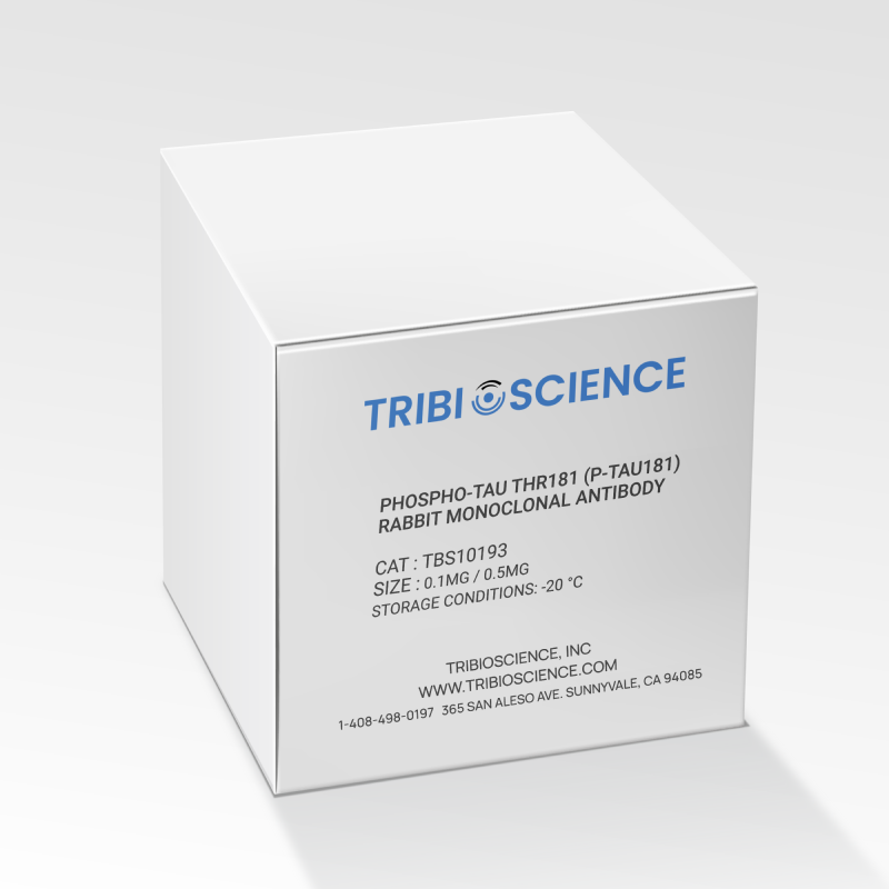 Phospho-Tau Thr181 (p-tau181) Rabbit Monoclonal Antibody for ELISA, Western Blot and IHC TBS10193-0.1MG - Antibodies