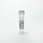 Anti-Human IL4R alpha Human Monoclonal Antibody TBS10216-0.5 - Antibodies - TriBioScience