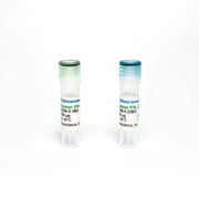 Monoclonal Antibody to Human IFN-Gamma, Biotin TBS134206-0.1MG - Antibodies - TriBioScience