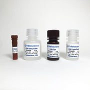 LDH Cytotoxicity Colorimetric Assay TBS2002 - Life Science - TriBioScience