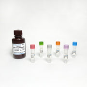 Protein Assay Kit TBS2005 - Life Science - TriBioScience