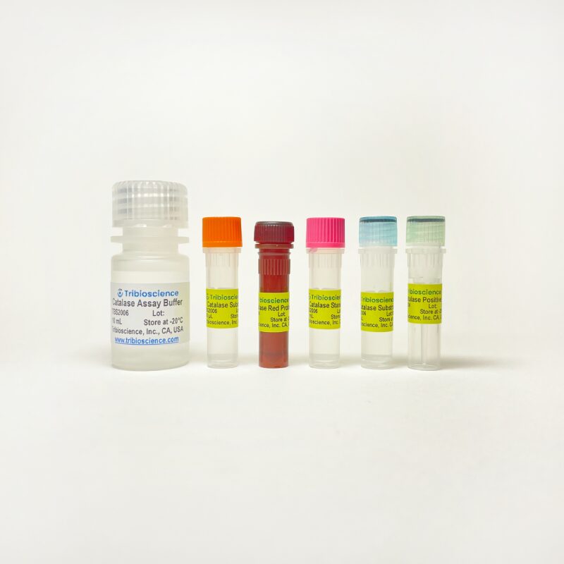 Catalase Assay TBS2006 - Life Science - TriBioScience