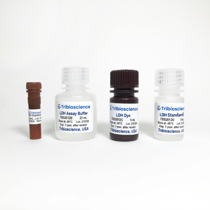 LDH Lactate Dehydrogenase Colorimetric Assay TBS2012 - Life Science - TriBioScience