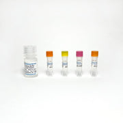 Mitochondrial Complex I Activity Colorimetric Assay TBS2017 - Life Science - TriBioScience