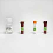 Mitochondrial Complex III Activity Colorimetric Assay TBS2019 - Life Science - TriBioScience