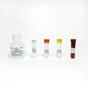 ADP Colorimetric/Fluorometric Assay Kit TBS2020 - Life Science - TriBioScience