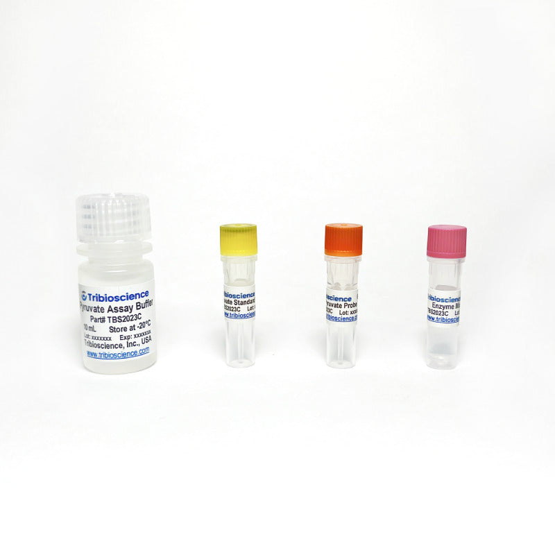 Pyruvate Colorimetric Assay TBS2023C - Life Science - TriBioScience