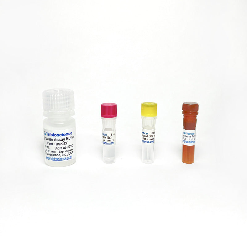 Pyruvate Fluorometric Assay TBS2023F - Life Science - TriBioScience