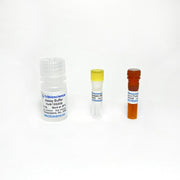 Glutathione (GSH) Fluorometric Assay TBS2028 - Life Science - TriBioScience