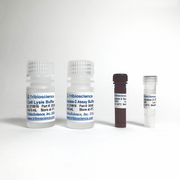 Caspase-3 Colorimetric Assay Kit TBS2030 - Life Science - TriBioScience