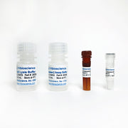 Caspase-2 Fluorometric Assay Kit TBS2031F - Life Science - TriBioScience