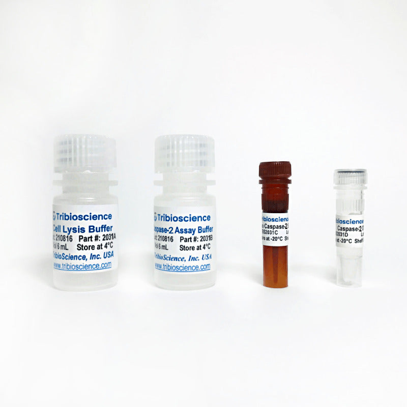 Caspase-2 Fluorometric Assay Kit TBS2031F - Life Science - TriBioScience