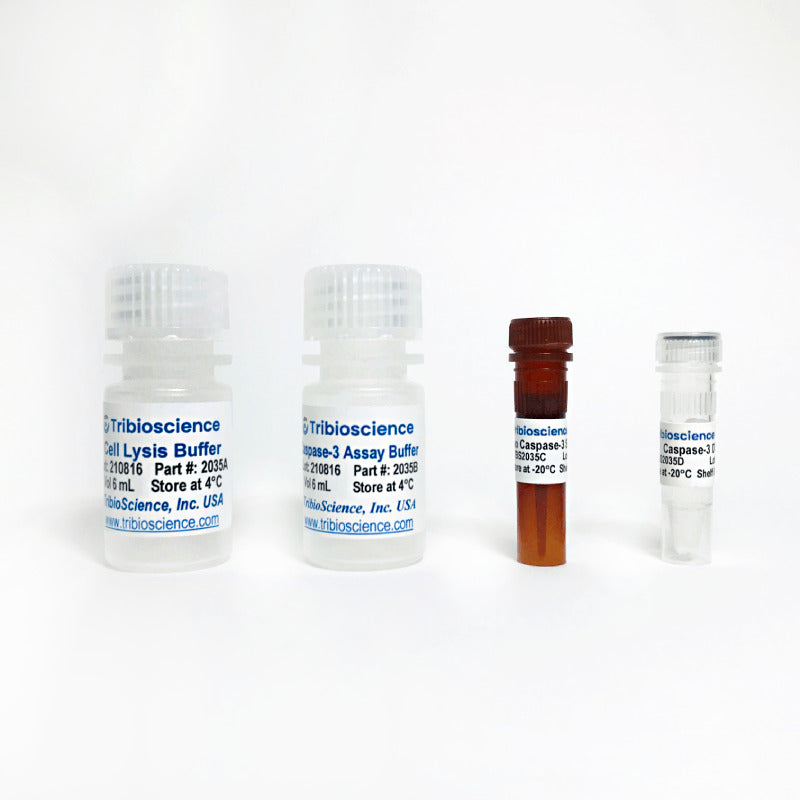 Caspase-3 Fluorometric Assay kit TBS2035 - Life Science - TriBioScience
