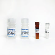 Caspase-10 Fluorometric Assay Kit TBS2039F - Life Science - TriBioScience