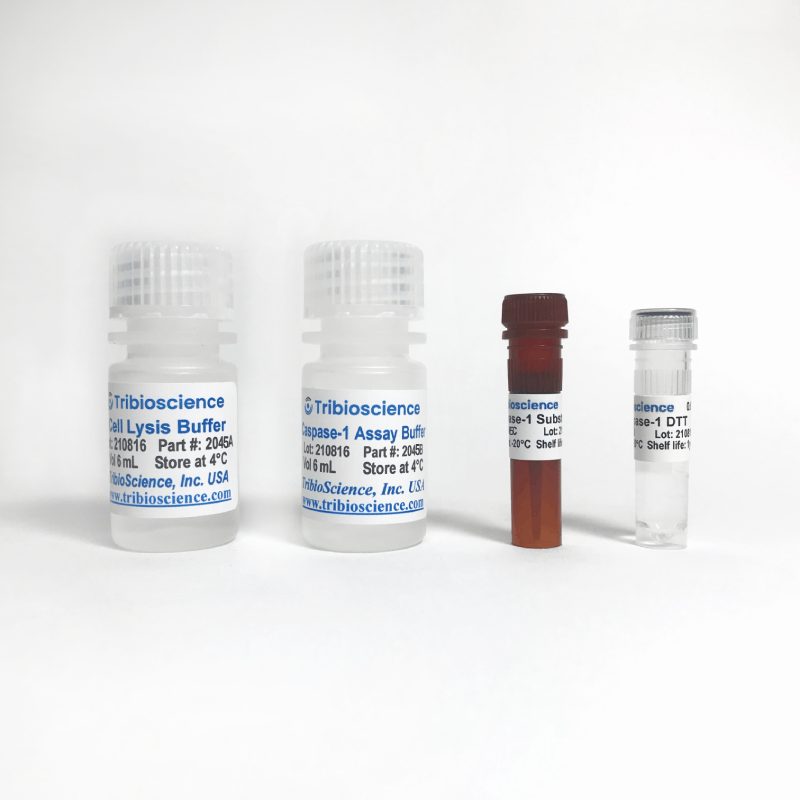 Caspase-1 Fluorometric Assay Kit TBS2045 - Life Science - TriBioScience