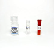 CD38 hydrolase Activity Fluorometric Assay TBS2047 - Life Science - TriBioScience