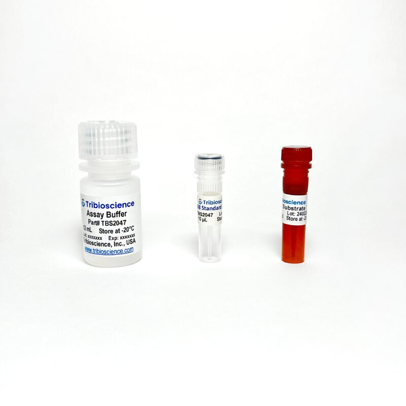 CD38 hydrolase Activity Fluorometric Assay TBS2047 - Life Science - TriBioScience