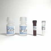 Caspase-Family Colorimetric Assay Kit TBS2050 - Life Science - TriBioScience