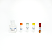 Adenosyl homocysteinase (AHCY) Fluorometric Assay TBS2056 - Life Science - TriBioScience