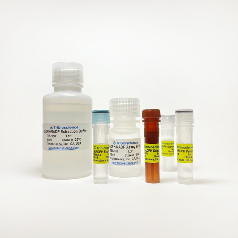 NADP/NADPH Quantification Colorimetric Assay TBS2058 - Life Science - TriBioScience