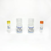 HDAC Fluorometric Assay Kit TBS2060 - Life Science - TriBioScience