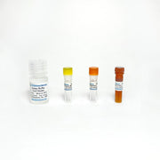 Lactic Lactate Fluorometric Assay TBS2061 - Life Science - TriBioScience