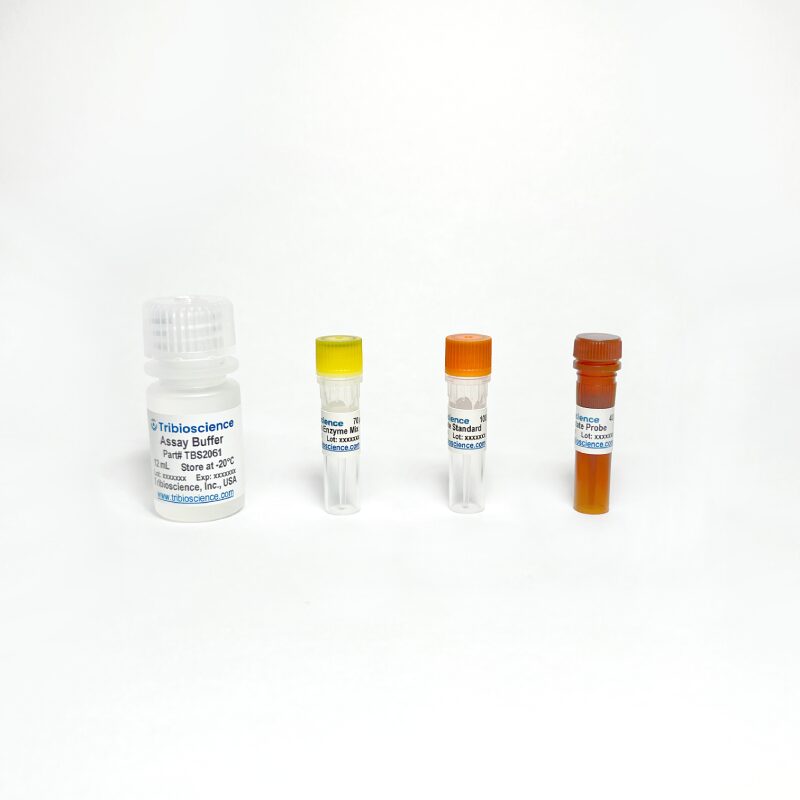 Lactic Lactate Fluorometric Assay TBS2061 - Life Science - TriBioScience