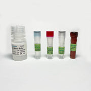 HDAC Colorimetric Assay Kit TBS2065 - Life Science - TriBioScience