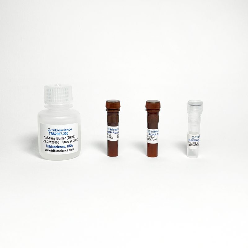 Horseradish Peroxidase Activity Assay TBS2067-100 - Life Science - TriBioScience