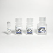 Total Antioxidant Capacity (TAC)- CUPRAC Colorimetric Assay TBS2068-200 - Life Science - TriBioScience
