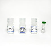 Alkaline Phosphatase Activity Fluorometric Assay TBS2078-100 - Life Science - TriBioScience