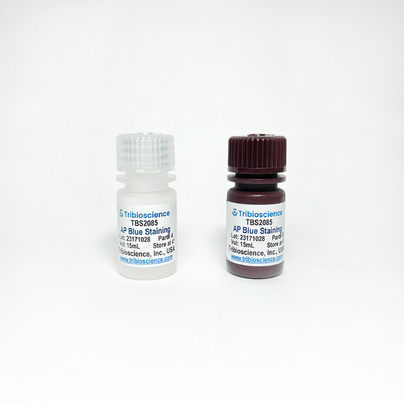 Alkaline Phosphatase Blue Staining kit TBS2085 - Life Science - TriBioScience