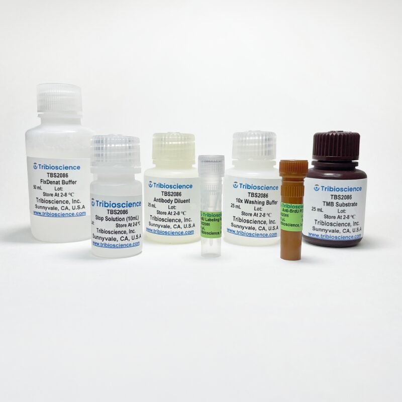 BrdU Cell Proliferation Colorimetric Assay TBS2086 - Life Science - TriBioScience