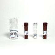 Ethanol Assay Kit (Colorimetric / Fluorometric) TBS2090-100 - Life Science - TriBioScience