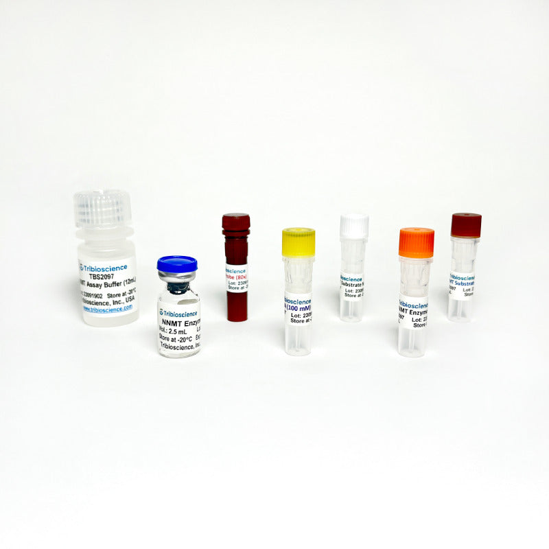 NNMT Inhibitor Screening Assay TBS2097-100 - Life Science - TriBioScience