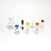 NNMT Activity Fluorometric Assay TBS2098-100 - Life Science - TriBioScience