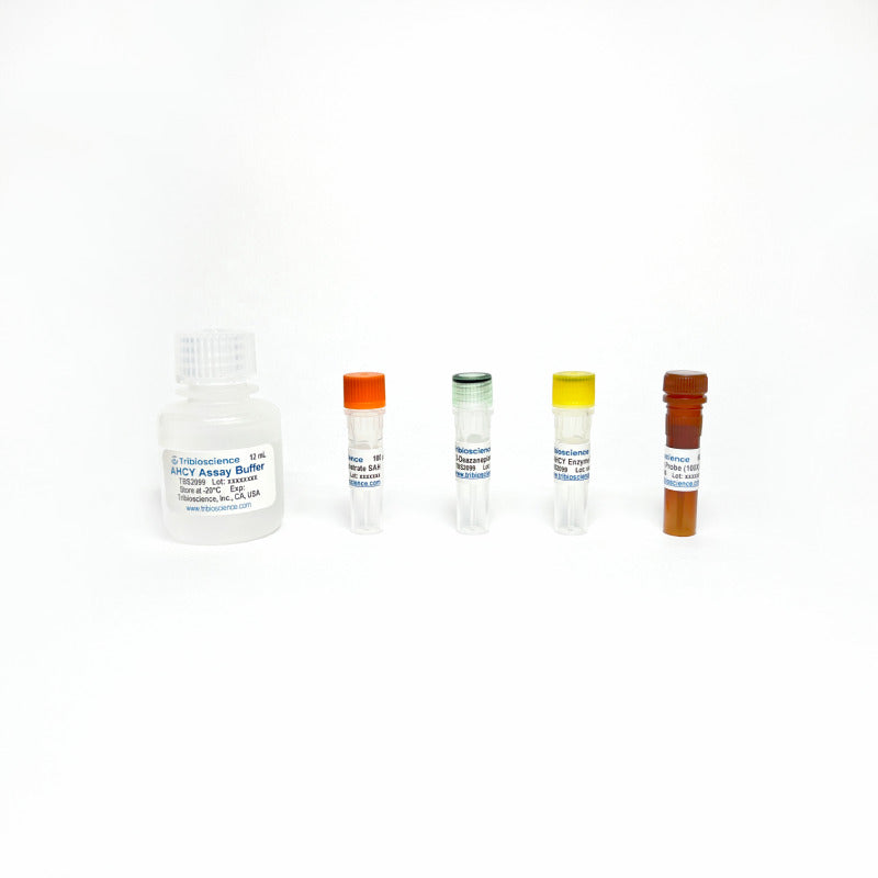 Adenosylhomocysteine (AHCY) Inhibitor Screening Assay (Fluorometric) TBS2099-100 - Life Science - TriBioScience