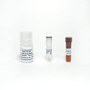 CD38 (Cyclase) Activity Assay Kit (Fluorometric) TBS2100-100 - Life Science - TriBioScience
