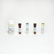 Tribo™ Tryptase Activity Assay TBS2101 - Life Science - TriBioScience