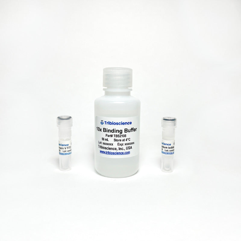 Annexin V Binding Assay TBS2108 - Life Science - TriBioScience