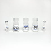 β-Glucuronidase Assay TBS2110-100 - Life Science - TriBioScience