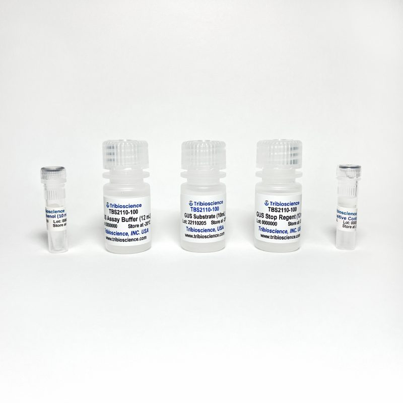 β-Glucuronidase Assay TBS2110-100 - Life Science - TriBioScience