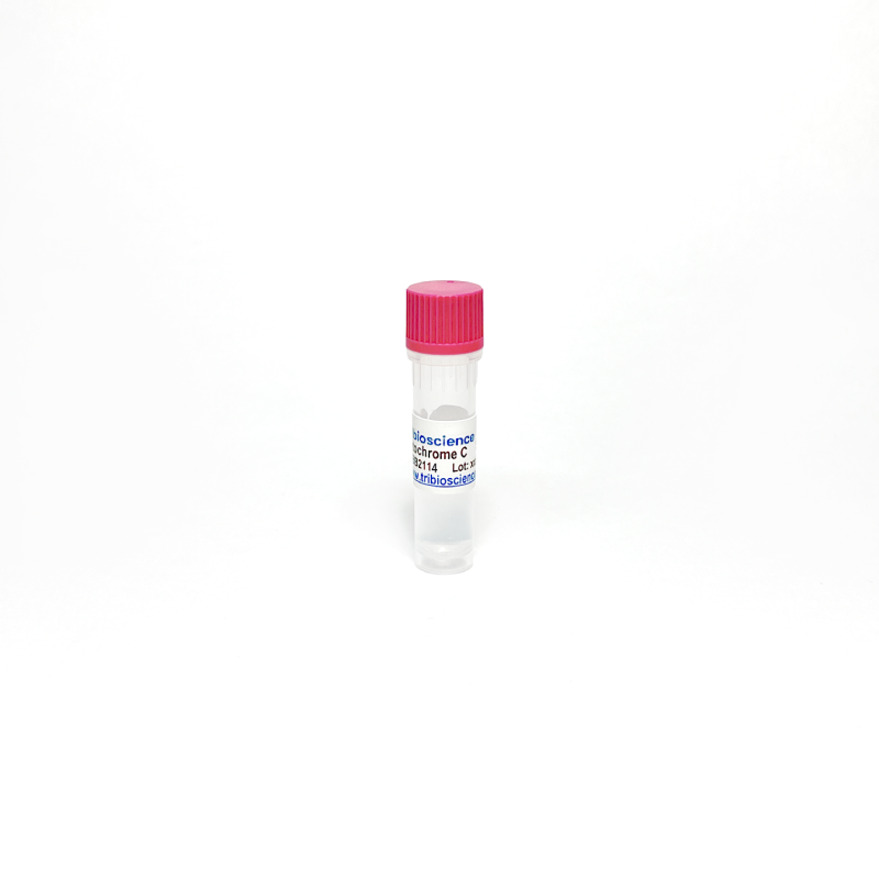 Cytochrome C Reductase from Porcine Heart TBS2114-5U - Life Science - TriBioScience