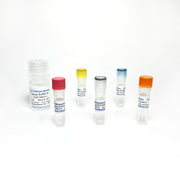Cytochrome C Oxidase Activity Assay TBS2115 - Life Science - TriBioScience