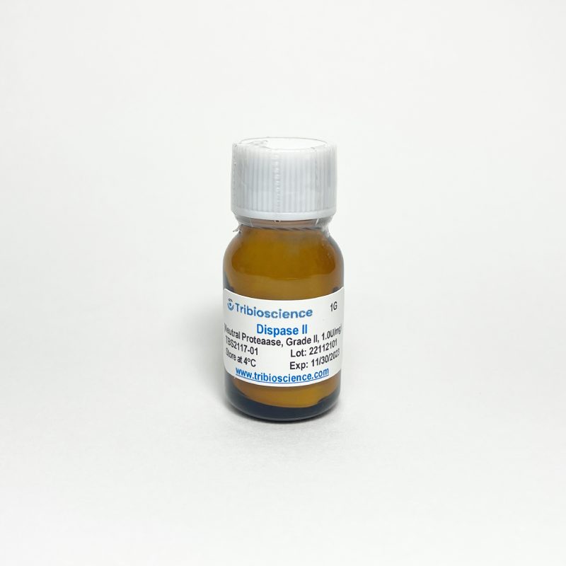 Dispase II (Neutral Protease, Grade II) TBS2117-01 - Life Science - TriBioScience
